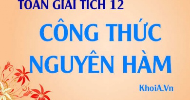 Công thức nguyên hàm của hàm sơ cấp và hàm hợp - Toán giải tích 12